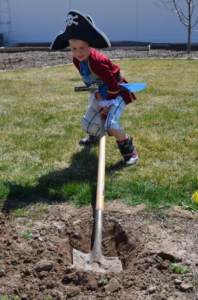  photo DSC_2215_zps9a928949.jpg