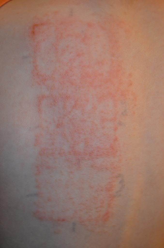  photo DSC_2230_zps01cf8a01.jpg