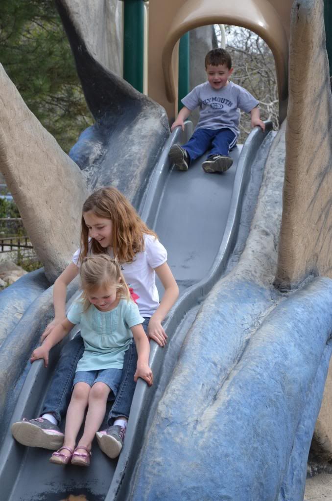  photo DSC_2286_zps79213bab.jpg