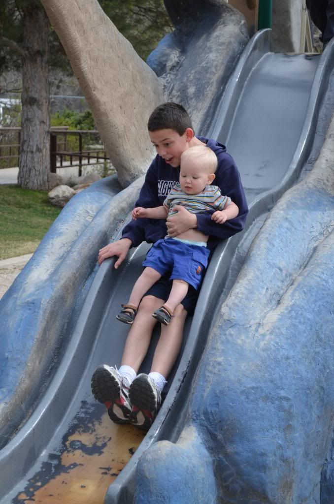  photo DSC_2295_zpsa8274fb4.jpg