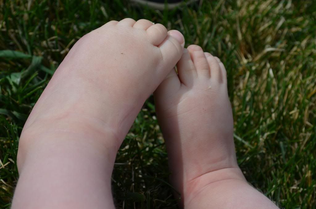  photo DSC_2300_zps486208b3.jpg