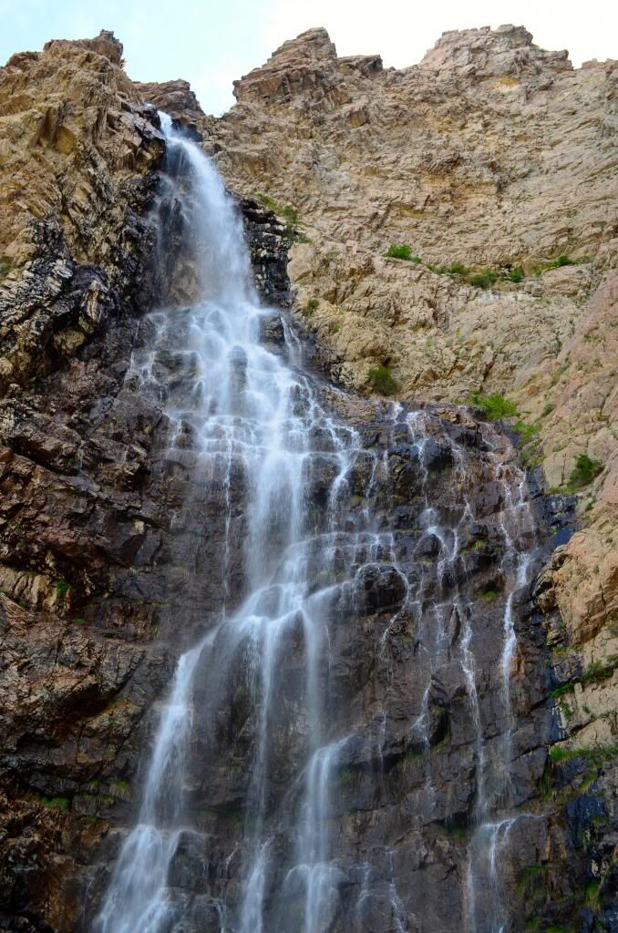  photo DSC_2439_zps310242cb.jpg