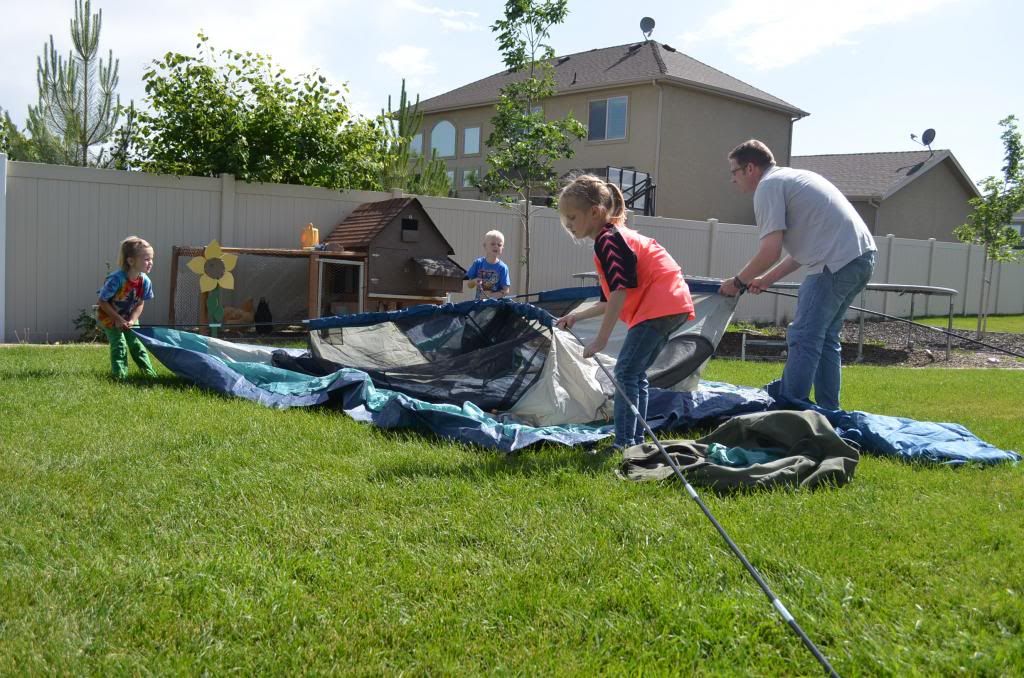  photo DSC_2445_zpsf5408a71.jpg