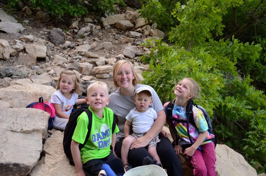  photo DSC_2447_zps1613dbe4.jpg