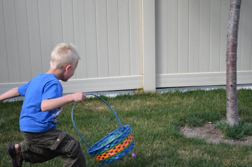  photo DSC_2452_zpse9ee9d34.jpg