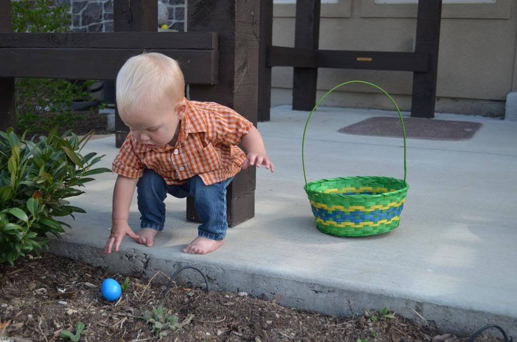  photo DSC_2455_zps24b95272.jpg