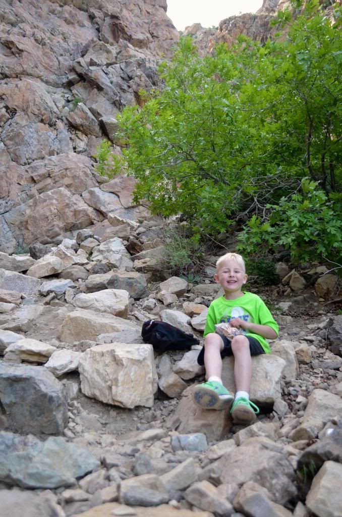  photo DSC_2458_zpse879615f.jpg