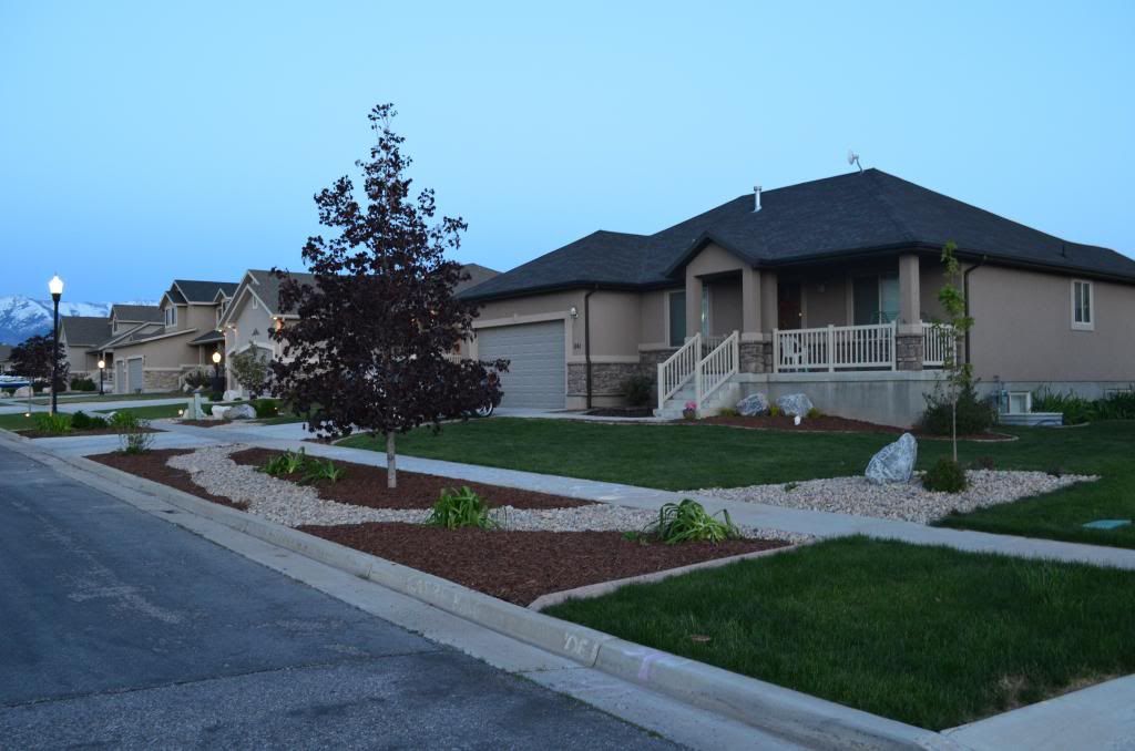  photo DSC_2597_zps767de352.jpg