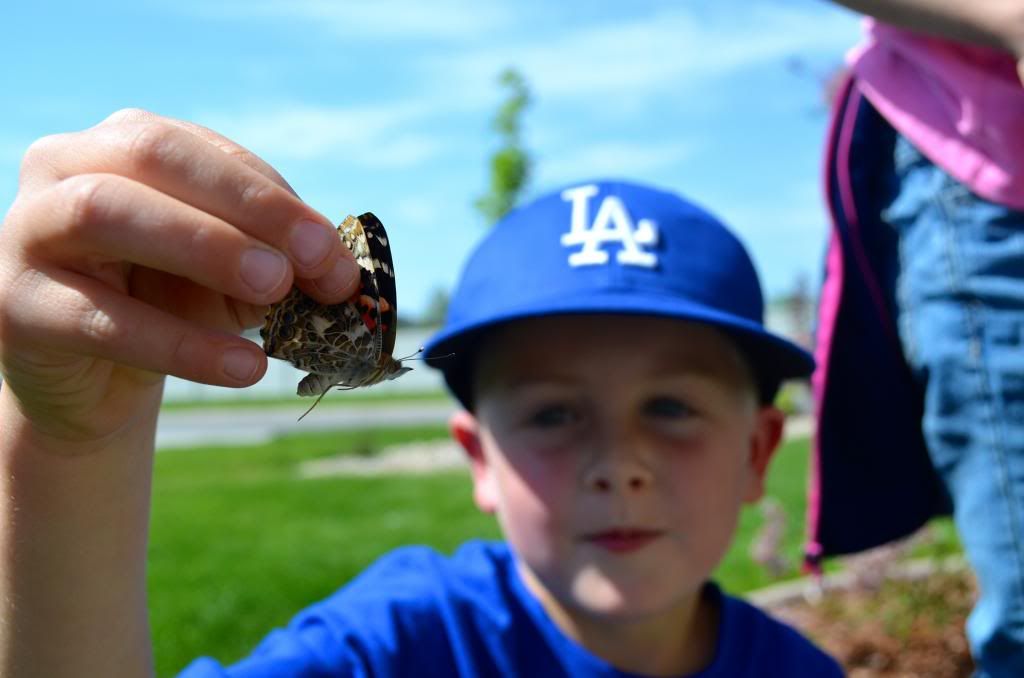  photo DSC_2651_zps68c148e6.jpg