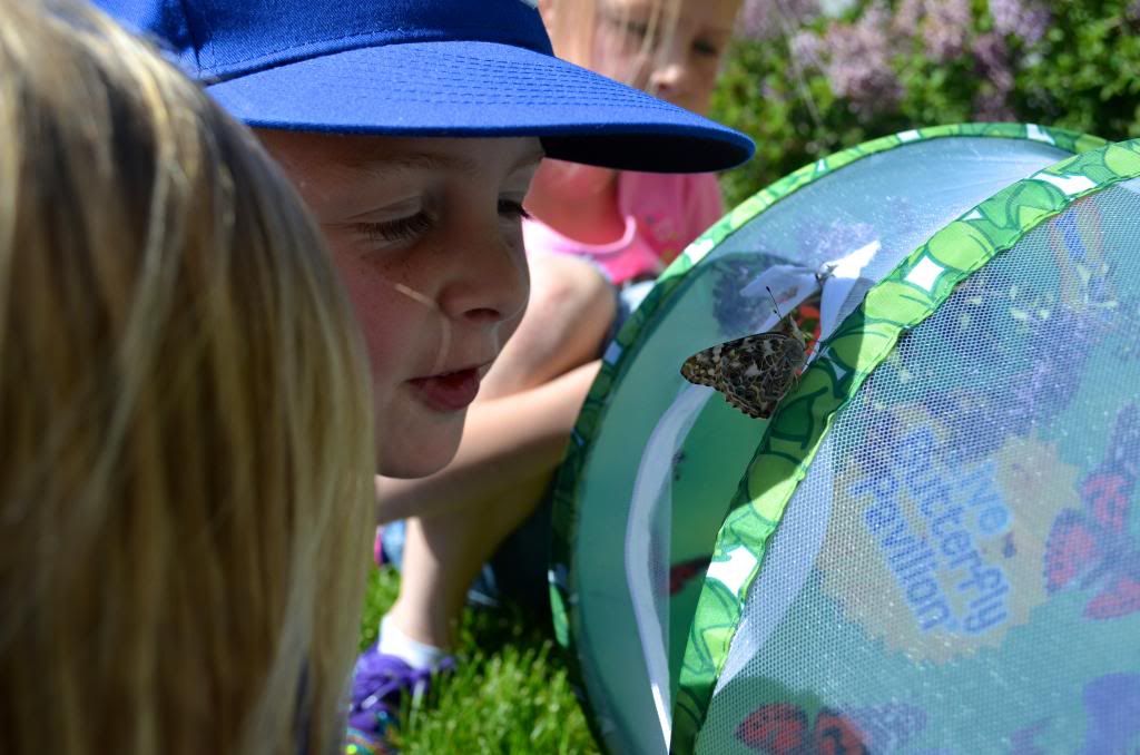  photo DSC_2654_zpsc9710480.jpg