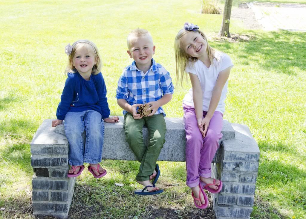  photo DSC_7310-1_zps03324912.jpg