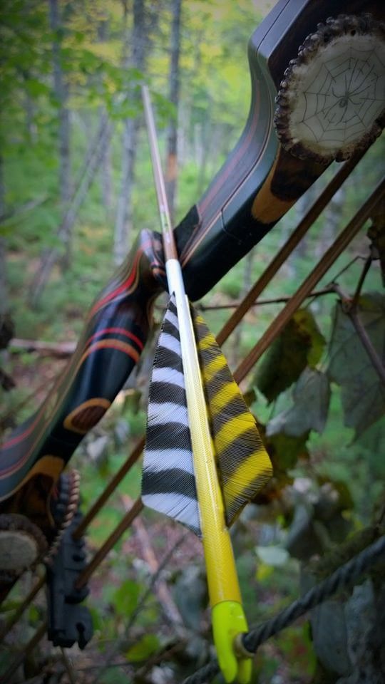 2016 Archery Setups Nova Scotia Hunting Forum