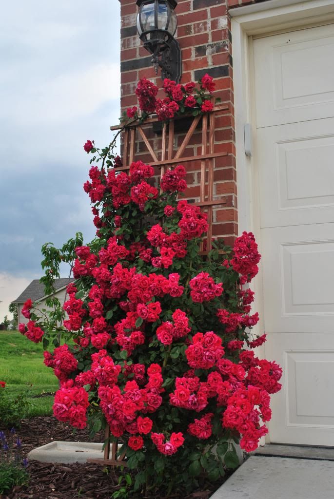  photo DSC_0060_zps2034aa54.jpg