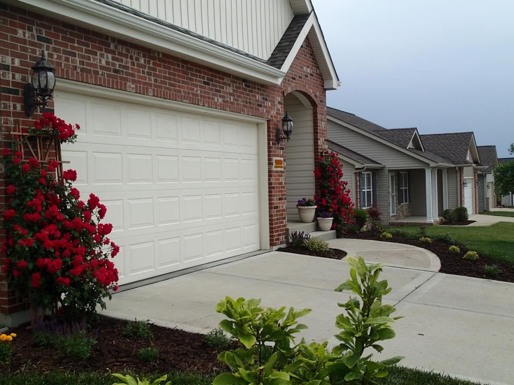  photo P5250107_zps688a3990.jpg