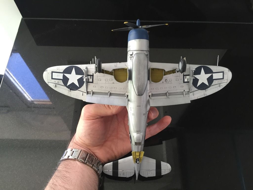 61875143-E587-425E-8783-032E9F41FB42_zps