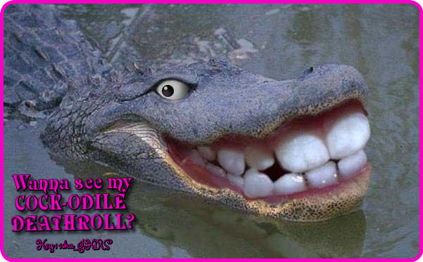 photo oie_MbJCG50IqEfa_zps99070792.png