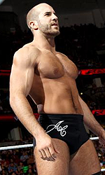 cesaro2_zpsc2f4804f.png