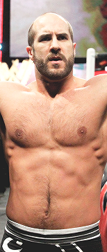 cesaro9_zps383cd37c.png