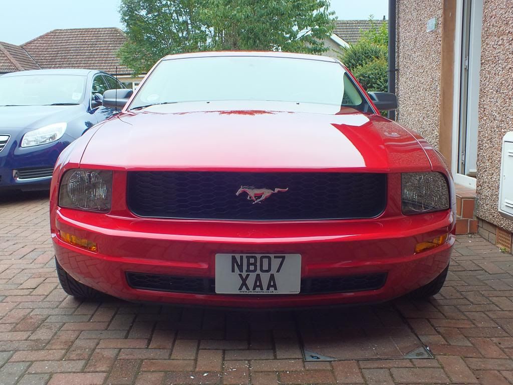 Mustang1_zpsd9787b4a.jpg