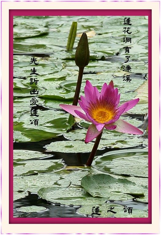  photo DSC01362aCopy_zpsd77ab639.jpg