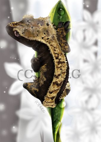 Zombiegeckodigitalart_zpsc2dba47e.jpg