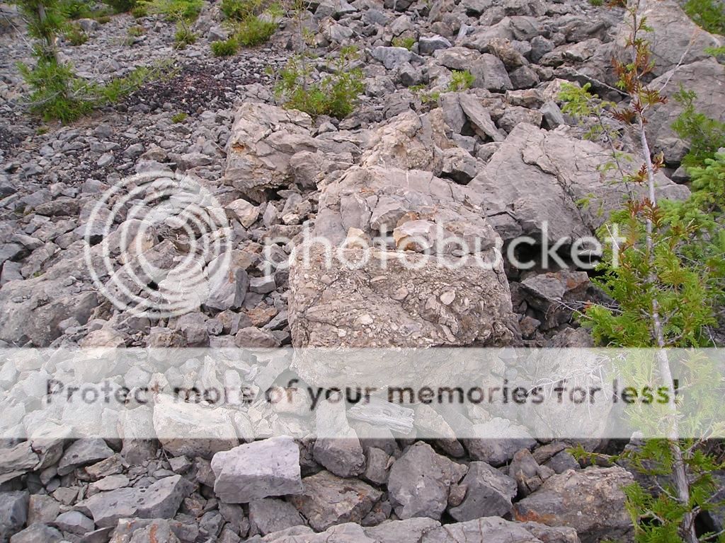 Rockport state recreation area Alpena MI for fossil hunters | Rock ...